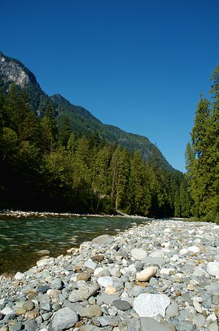 <span class="mw-page-title-main">Coquihalla River</span> River in British Columbia, Canada