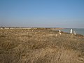 * Nomination Ukrainian Cossacks Cemetery in Glyboke Village, SW Ukraine. --Ykvach 19:03, 22 November 2013 (UTC) * Decline Lack of fine detail. --Mattbuck 17:43, 27 November 2013 (UTC)