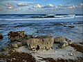 Cozumel, Quintana Roo, Mexico - Coast.jpg