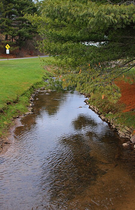 Crab Run looking downstream