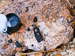 Crystals of black riebeckite in alkaline pegmatite, near Évisa (Corsica, France).jpg