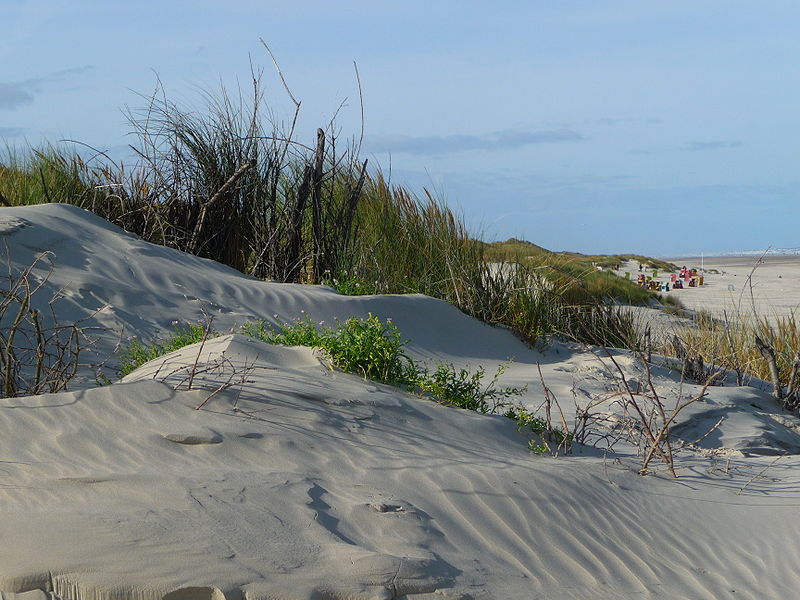 File:Düne auf Juist.JPG