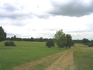 Dagnam Park park in London, named after the manor house