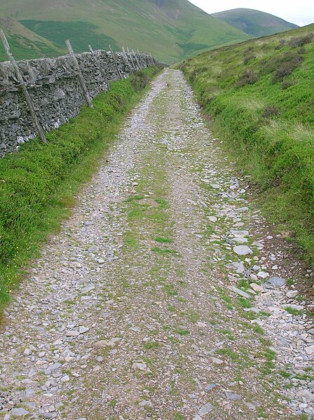 File:Dalveen Pass track, Durisdeer.JPG