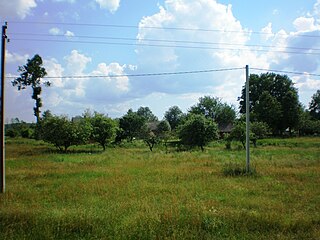 Darželiai (Varėna) Village in Alytus County, Lithuania