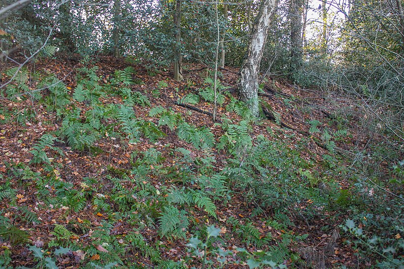 File:Der östliche Wall der Burg bei Deblinghausen.jpg