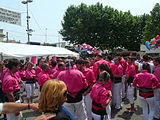 Diada castellera de les festes de primavera del 2014 a Sant Feliu de Llobregat. Hi actuaven els Castellers de Sant Feliu (camisa rosa), els Castellers de Viladecans (camisa verda) i els Castellers de Santa Coloma (camisa blau cel).Template:Location dec