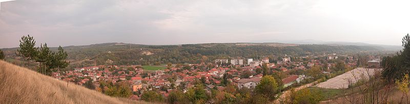 Панорамна снимка на град Димово, заснета от хълма над техникума. Отсреща над стадиона се вижда Белият брег, вдясно от него местността Доброглед. Долу вдясно техникума, в далечината вдясно е жп гарата