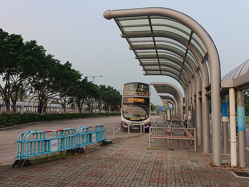 File:Discovery Bay Bus at Sunny Bay Bus Terminus.jpg