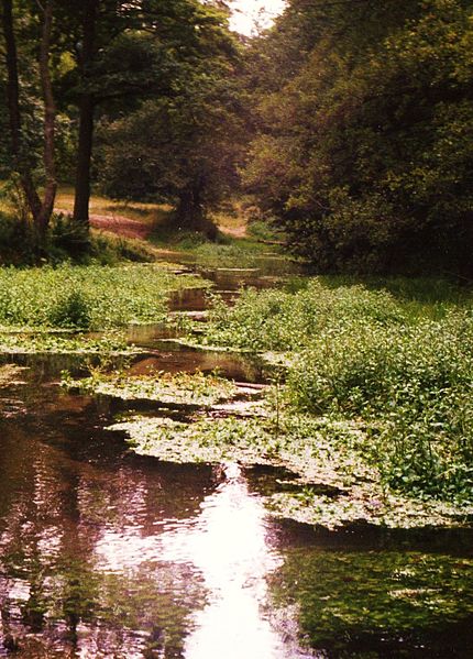 File:Dobrogoszyce, Bialka river, 30.8.1993r.jpg