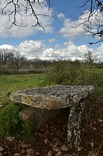 Dolmen du Champ de Belair dans le Hameau de Mons à Assier