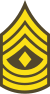 Эль-Сальвадор-Армия-OR-7.svg