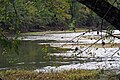 Elk River (Clay County, West Virginia, USA) 2 (30441422925).jpg