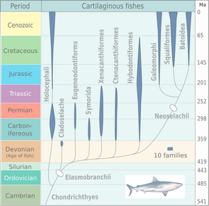 Geología: Historia, Material geológico, Tiempo geológico