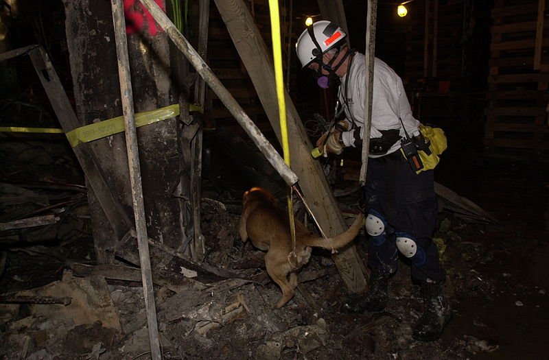 File:FEMA - 4526 - Photograph by Jocelyn Augustino taken on 09-14-2001 in Virginia.jpg