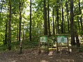 Vorschaubild für FFH-Gebiet Wälder der Hüttener Berge