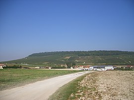 FR-51-Landscape1.JPG