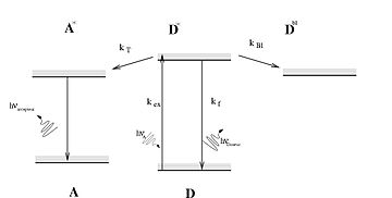 A Jablonski diagram representing Forster resonance energy transfer (FRET) FRET-Jablonski-diagram.jpg