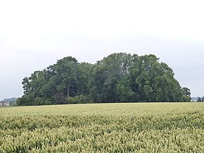 Tumulus van Saives