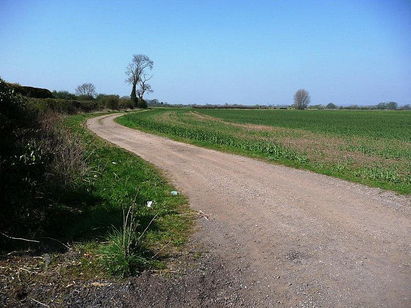 File:Field track off Barton Lane - geograph.org.uk - 1812930.jpg