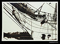 Figurehead of the iron hulled sailing ship BEATRICE (9705171015).jpg