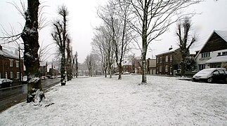 Photographie d'une place bordée d'arbres, à gauche et à droite, des habitations.