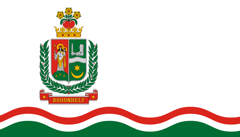 File:Flag of Bodonhely.svg