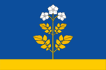Flag of Falyonsky rayon.png
