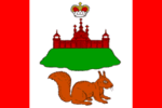 Flag of Kichmengsko-Gorodetsky rayon (Vologda oblast).png