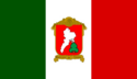 Flagget til Toluca