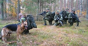 Air Force Ground Forces And Special Forces