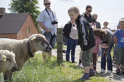 Sådan kommer du til Dansk Landbrugsmuseum med offentlig transport – Om stedet