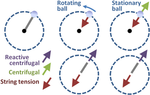 Forces on a ball in circular motion as seen in the inertial frame where the ball is seen to rotate (center) and as seen in a co-rotating frame where the ball appears stationary (right).