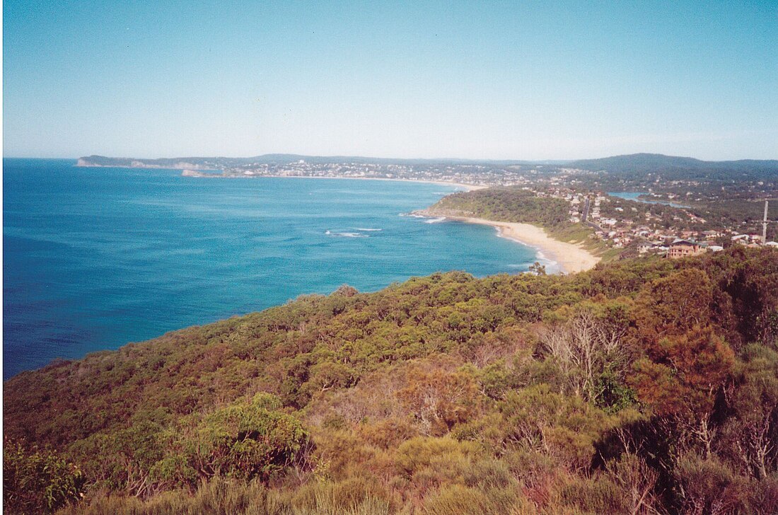 Forresters Beach