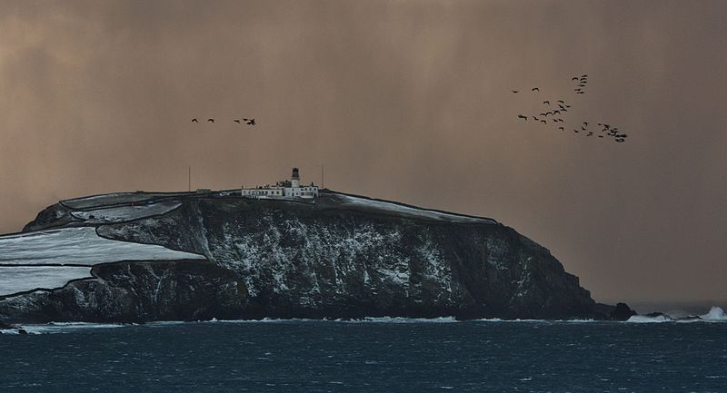 File:Geese over Sumburgh Head IMG 2464 (11240675456).jpg