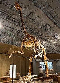 <i>Gigantoraptor</i> genus of reptiles (fossil)