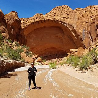 Wolverine Canyon