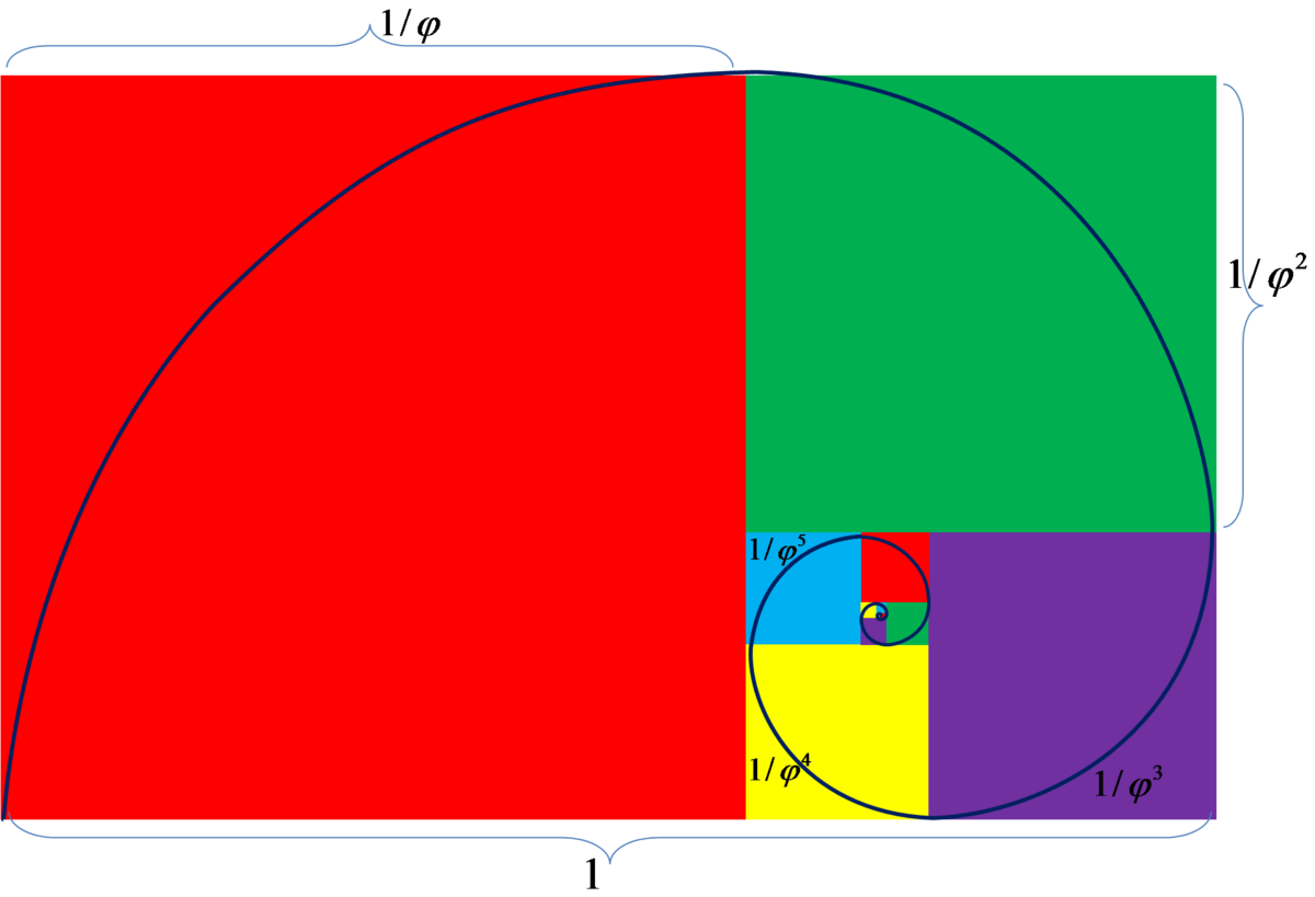 Золотое сечение Golden ratio. Золотое сечение Фибоначчи. Спираль Фибоначчи. Золотое сечение в цвете.