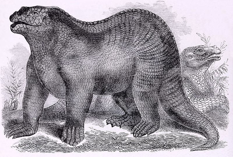 Fájl:Goodrich Iguanodon.jpg