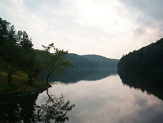 <span class="mw-page-title-main">Greenbo Lake</span> Reservoir in Greenup County, Kentucky