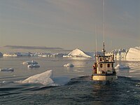 Grönland 7, áthajózás az Ilulissat Icefjordon.jpg
