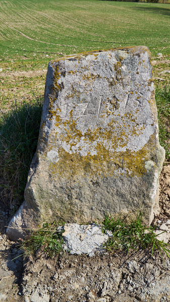 File:Grenzstein 2 Steinhügel 8; Steinhügel 8 a Neuburg am Inn.png