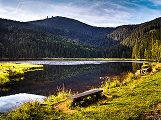 Hutan Bavaria