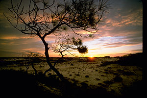 Gulf Islands National Seashore GUIS1796.jpg