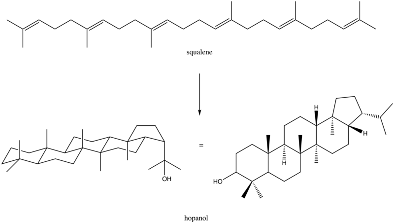 File:Hopanol biosynthesis.png