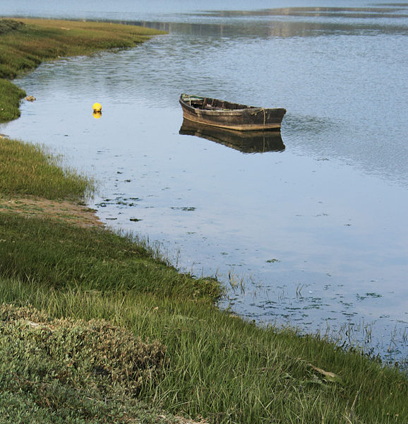 File:Hossegor lac barque.jpg