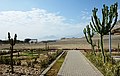 * Nomination View over the Huaca de la Luna from the museum Huacas de Moche, Peru --Velvet 12:51, 5 August 2020 (UTC) * Promotion  Support Good quality. --Scotch Mist 13:32, 5 August 2020 (UTC)