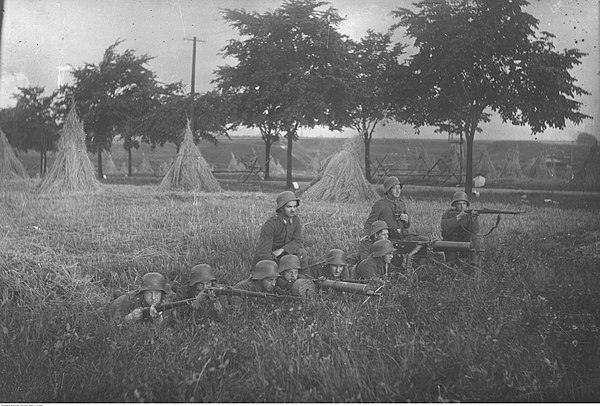 Opposing the Silesian insurrectionists were the Grenzschutz "border guards" of the Weimar Republic.