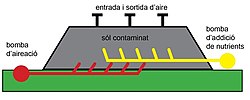 Miniatura per Biopila