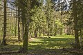 * Nomination In "Nesselgrund" nature reserve --Plozessor 05:33, 25 December 2023 (UTC) * Promotion  Support Good quality.--Agnes Monkelbaan 05:36, 25 December 2023 (UTC)